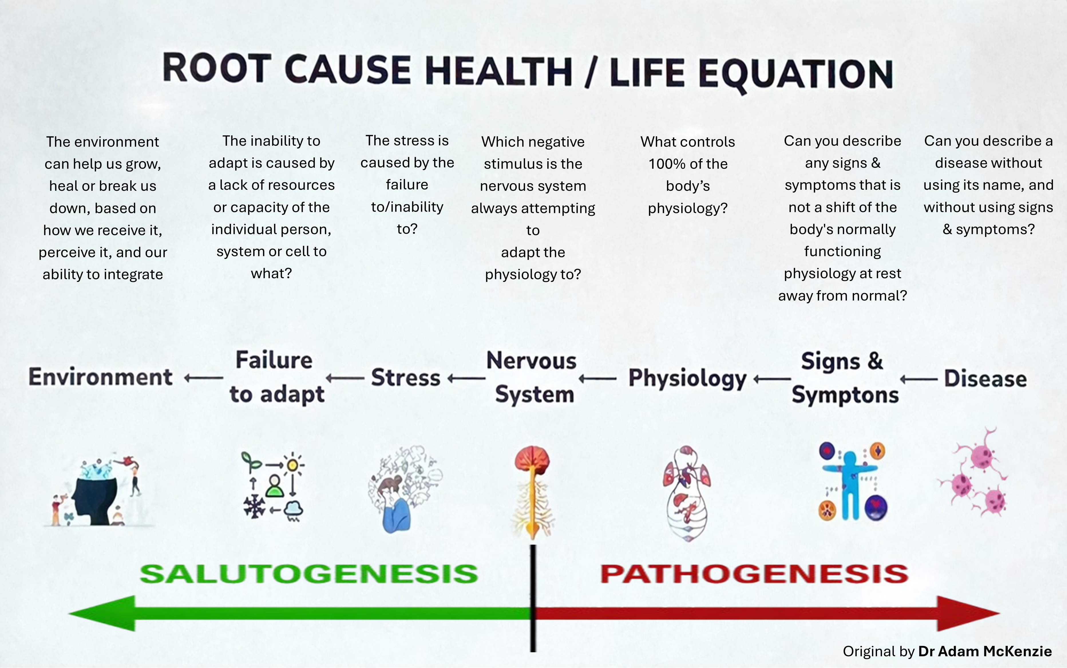 Infographic titled Root Cause Health / Life Equation: seven columns from Disease through Signs and Symptoms, Physiology, Nervous System, Stress, Failure to adapt, to Environment, with connecting arrows. Original by Dr Adam McKenzie.