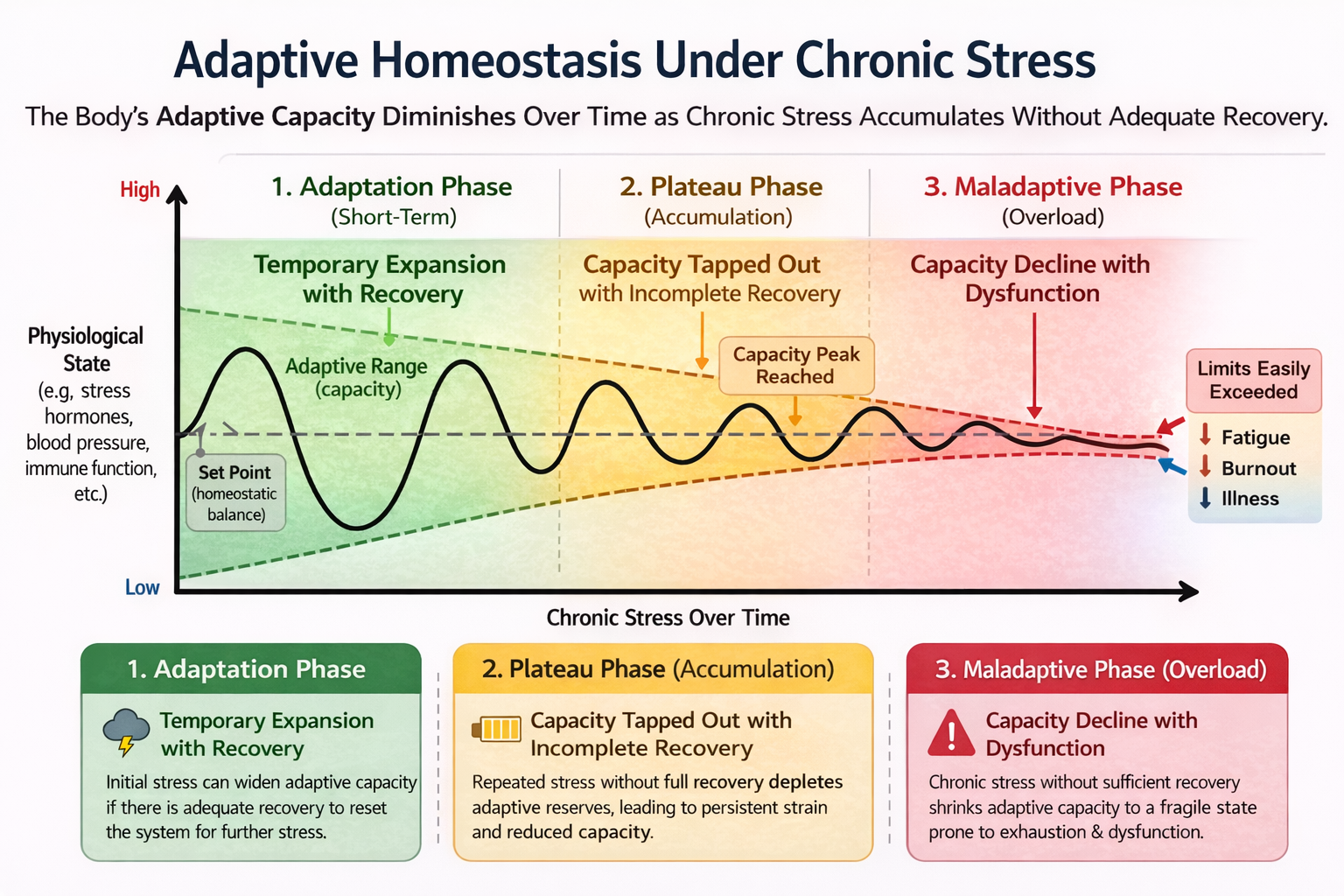 Diagram: adaptive range and homeostasis, healthy bandwidth for physiological adaptation.